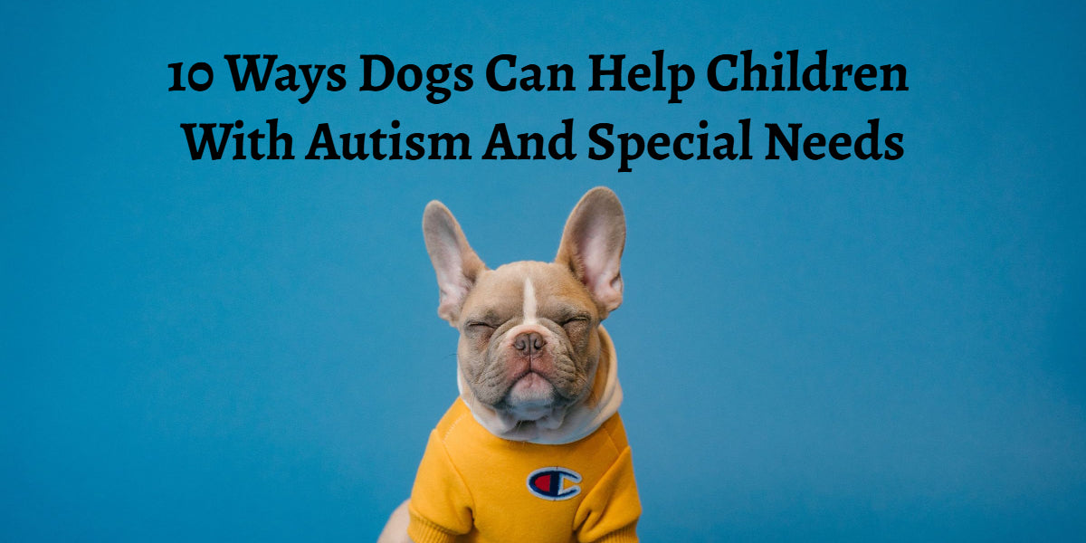 Dogs Can Help Children With Autism