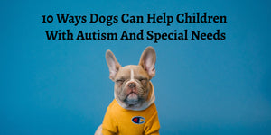 10 Ways Dogs Can Help Children With Autism And Special Needs