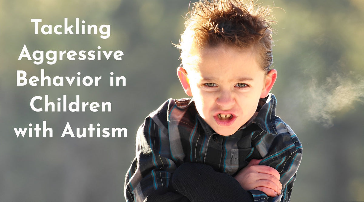 Tackling Aggressive Behavior in Children with Autism: A Guide for Pare ...